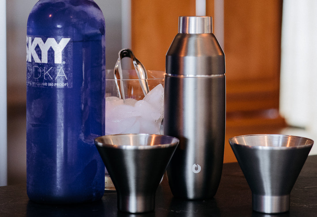 Snowfox Insulated Stainless Steel Martini Set