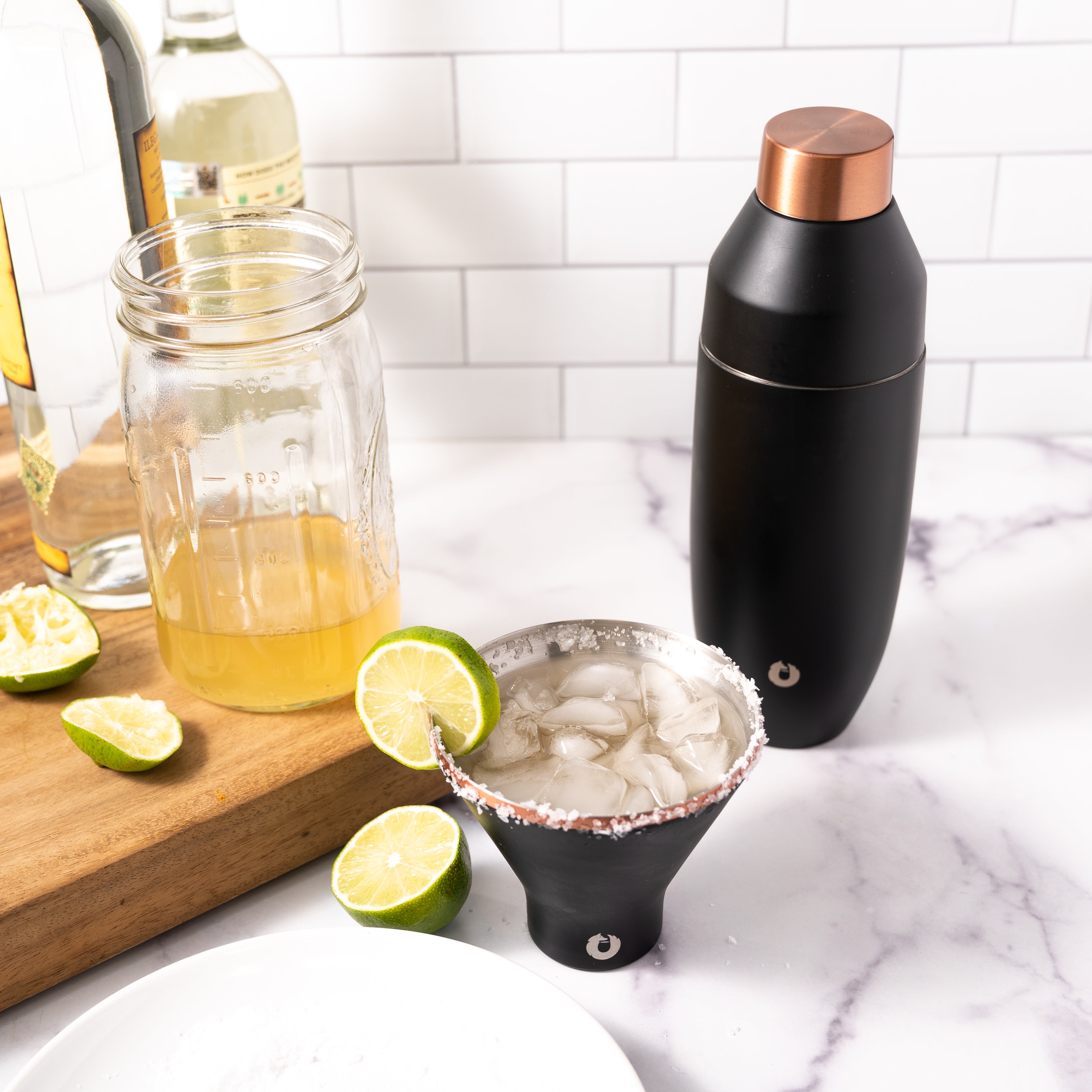 SnowFox – Stainless Steel Cocktail Shaker and Martini Glass