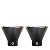 stainless steel martini glass, set of 2 black