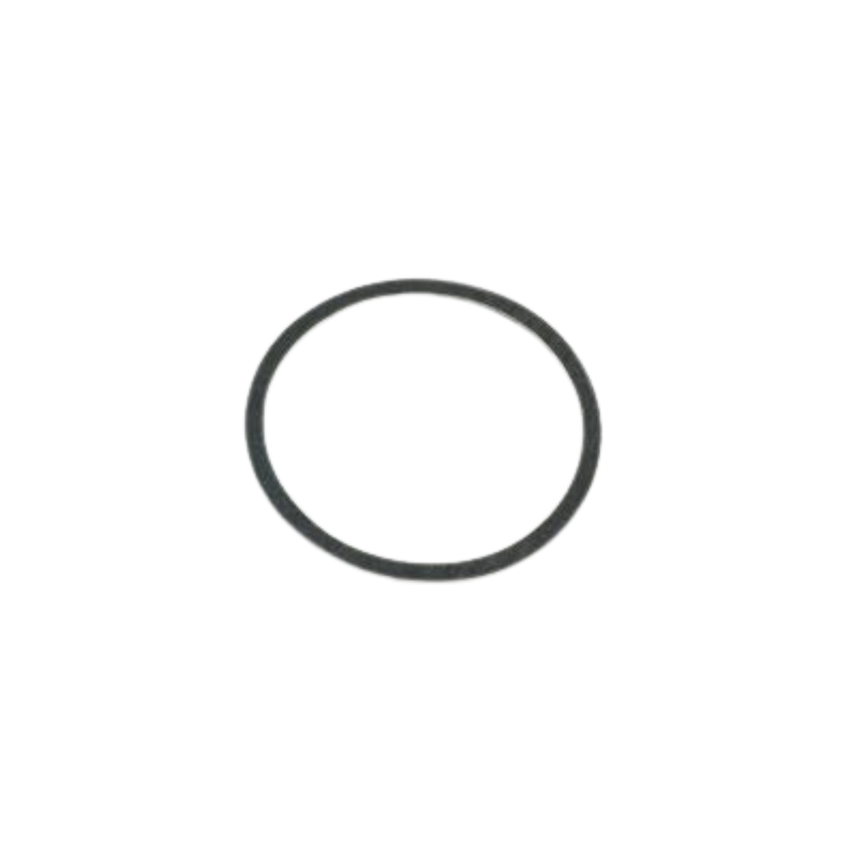 Shaker Cap Small Rubber Gasket